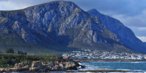 Hermanus