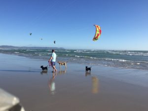 Kite Surfer