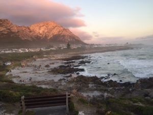 Hermanus
